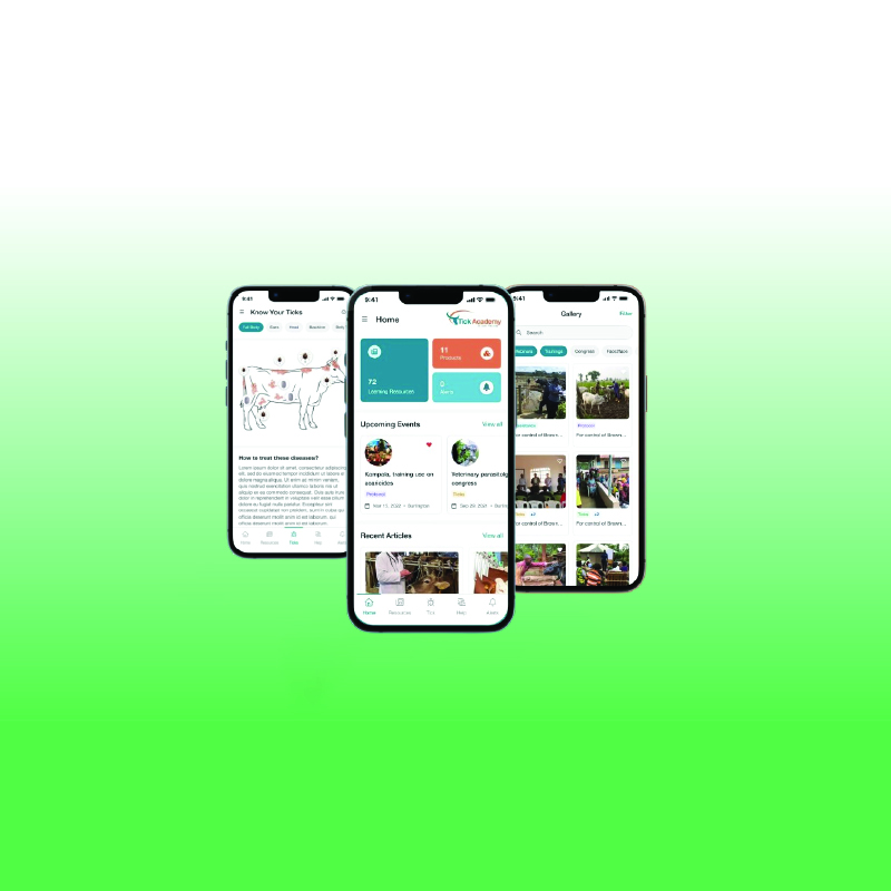 Read more about the article Content Development and Translation of the MAHABA livestock App features (ELANCO)