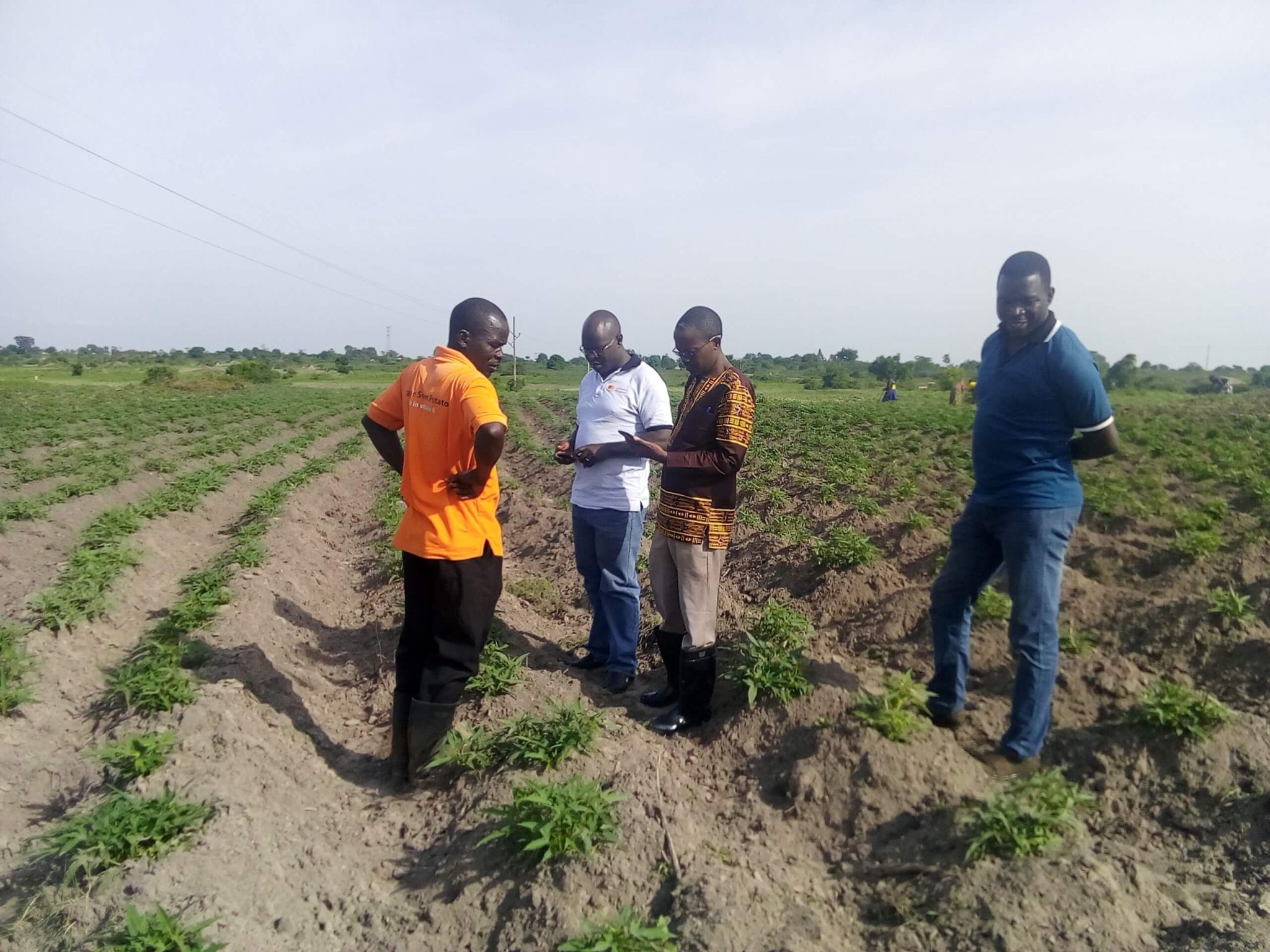 Read more about the article The Role of ICT in Enhancing Public Service Delivery in Uganda